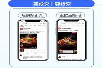竞价广告与自然搜索的结合策略：XX网站的案例分析
